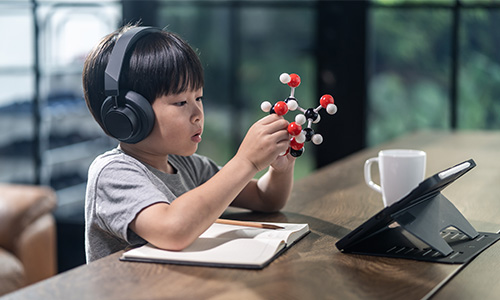 เตรียมอนุบาล - อนุบาล